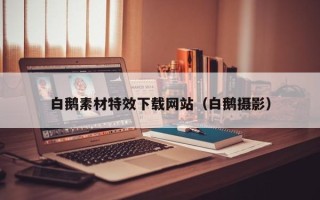鹿邑白鹅素材特效下载网站（白鹅摄影）